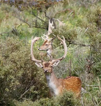 Romantisch Tiny Gardenhouse In Beautiful Garden شاليه *