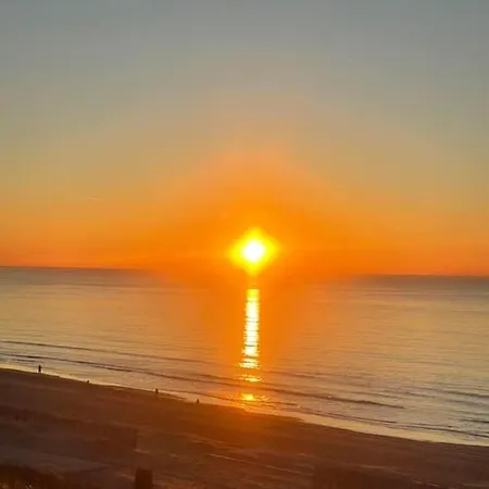 Romantisch Tiny Gardenhouse In Beautiful Garden زاندفورت