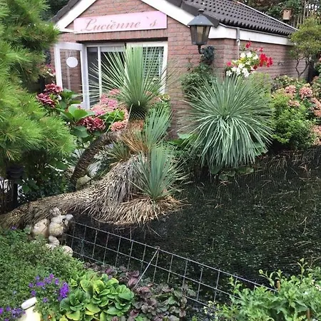 Romantisch Tiny Gardenhouse In Beautiful Garden Zandvoort