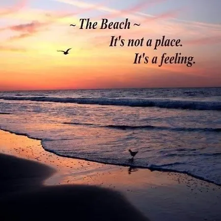 Romantisch Tiny Gardenhouse In Beautiful Garden Chalet