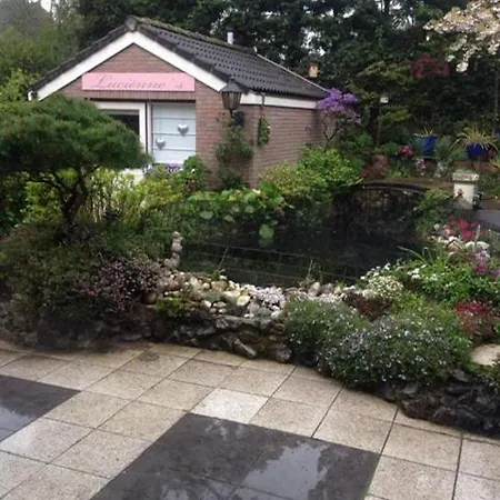 Romantisch Tiny Gardenhouse In Beautiful Garden * Zandvoort