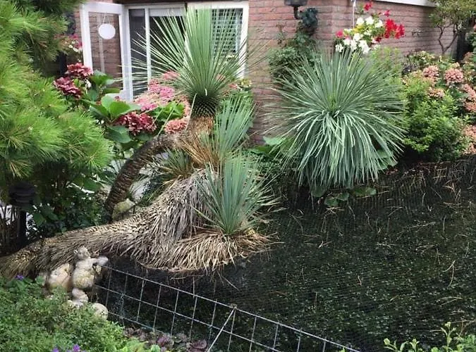 Romantisch Tiny Gardenhouse In Beautiful Garden 잔드보르트