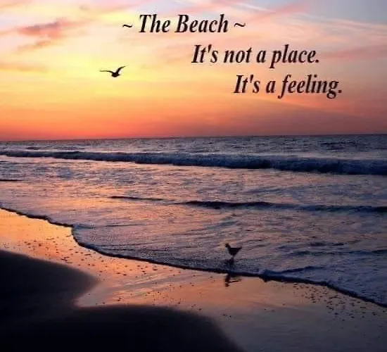 Romantisch Tiny Gardenhouse In Beautiful Garden 샬레