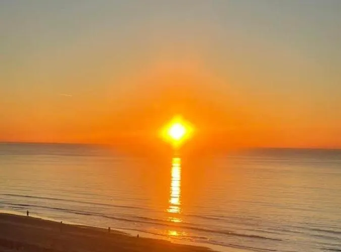 Romantisch Tiny Gardenhouse In Beautiful Garden 잔드보르트